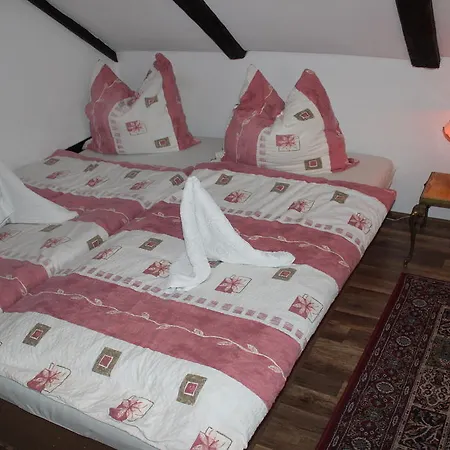 Guest house Penzion St. Florian Pribor