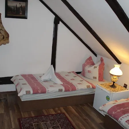 Guest house Penzion St. Florian Pribor